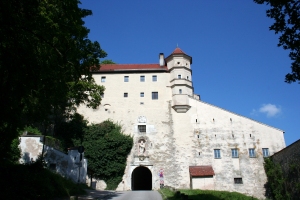 Burg Willibaldsburg